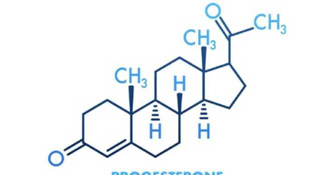 Navigating Perimenopause and Menopause: image