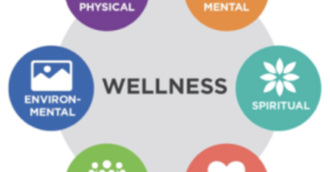 Navigating Hormone Testing and HRT Through Perimenopause and Menopause:  image