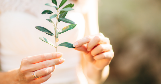 Why You React to Everything Now: Hormones, Histamine, and What Nobody Told You