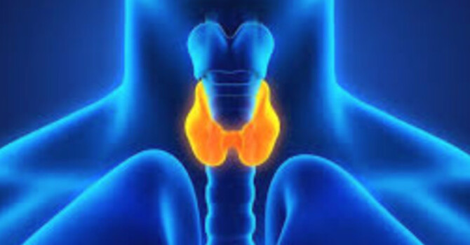 Understanding Hypothyroidism: A Guide for Patients image