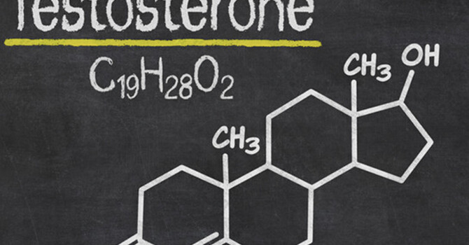 Testosterone in Women: A Crucial Hormone for Menopausal Health and Breast Cancer Protection image