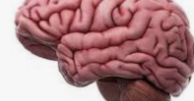 Menopause and Brain Fog: How Hormone Therapy Can Support Cognitive Health image