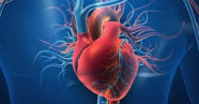 Why Your Doctor's Cardiology Advice About Hormones Is Probably 20 Years Out of Date