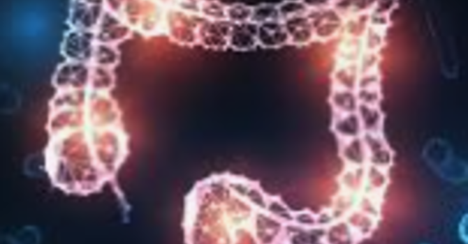 Your Gut Is Running Your Hormones. Here Is What to Do About It.