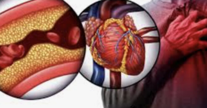 Why Starting Estrogen After 60 Is Different: The Timing Hypothesis and Your Heart