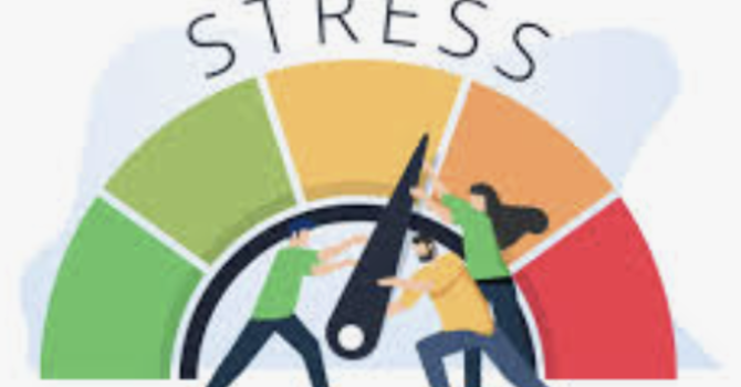 When Stress Hijacks Your Hormones: Cortisol, the HPA Axis, and Why You Cannot Balance Estrogen Under Pressure