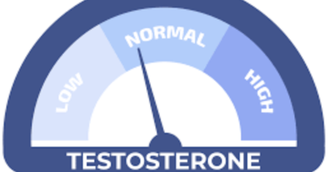 What Testosterone Actually Does for Women After 40 — And Why Your Doctor Probably Never Mentioned It