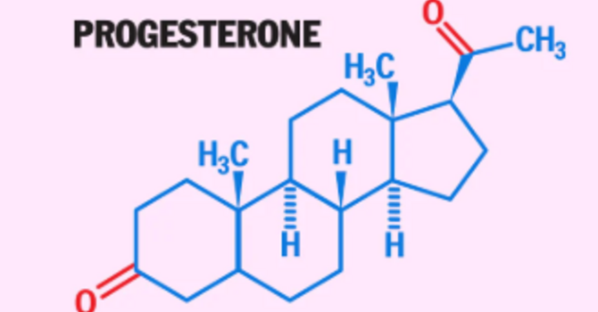 Progesterone Is Not a Progestin. It Has Its Own Job to Do.